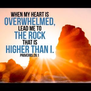 Meet your Posher, Liza